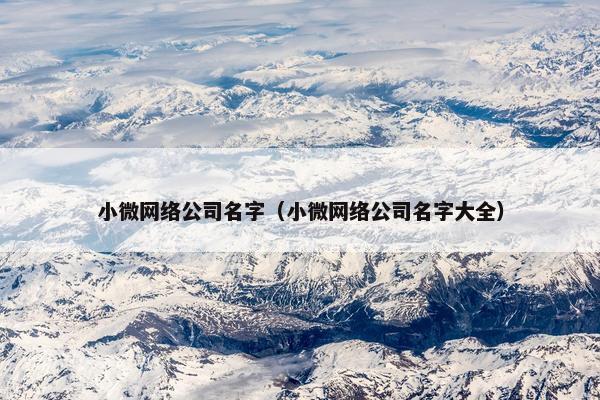 小微网络公司名字（小微网络公司名字大全）