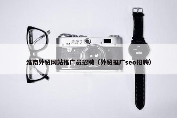 淮南外贸网站推广员招聘（外贸推广seo招聘）