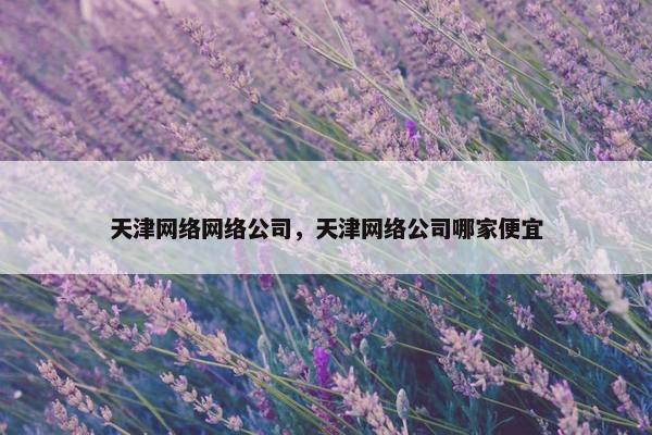 天津网络网络公司，天津网络公司哪家便宜