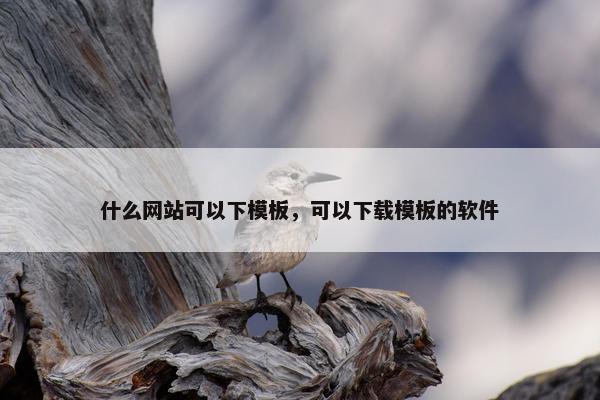 什么网站可以下模板，可以下载模板的软件