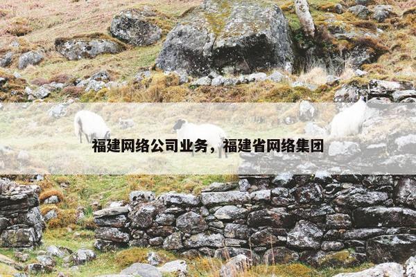 福建网络公司业务，福建省网络集团