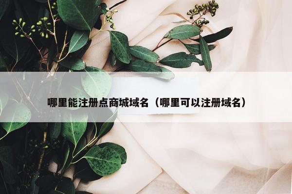 哪里能注册点商城域名（哪里可以注册域名）