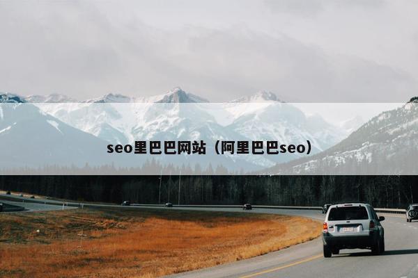 seo里巴巴网站（阿里巴巴seo）