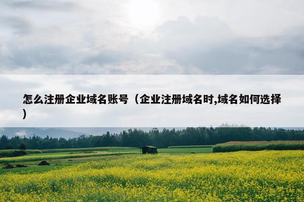 怎么注册企业域名账号（企业注册域名时,域名如何选择）