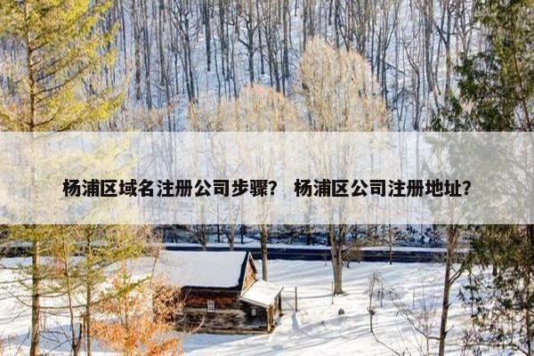 杨浦区域名注册公司步骤？ 杨浦区公司注册地址？