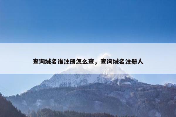 查询域名谁注册怎么查，查询域名注册人