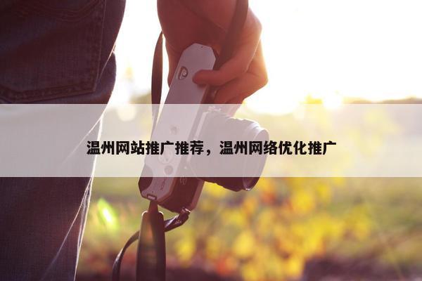 温州网站推广推荐，温州网络优化推广