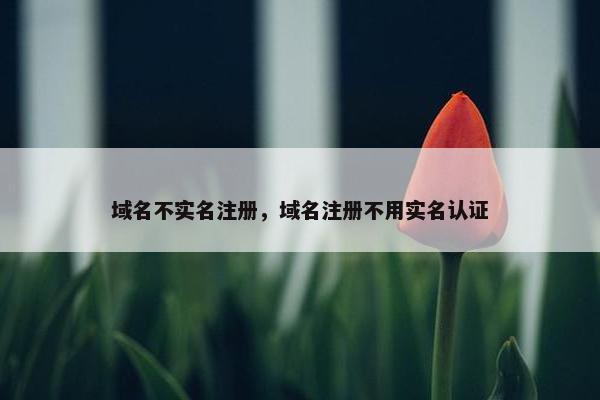 域名不实名注册，域名注册不用实名认证