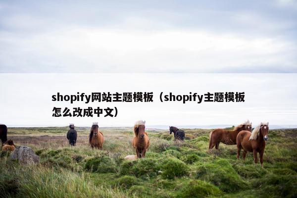 shopify网站主题模板（shopify主题模板怎么改成中文）