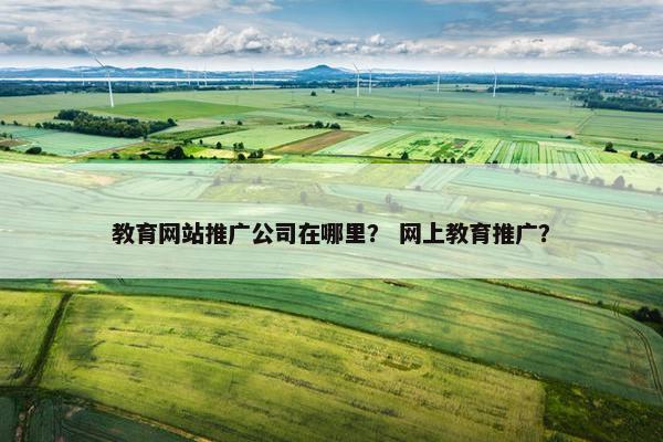 教育网站推广公司在哪里？ 网上教育推广？