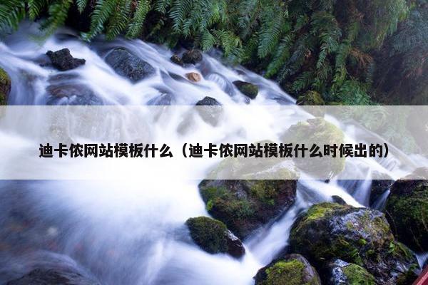 迪卡侬网站模板什么（迪卡侬网站模板什么时候出的）