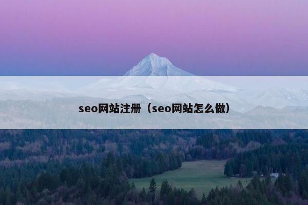 seo网站注册（seo网站怎么做）