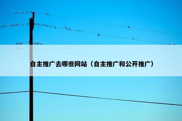 自主推广去哪些网站（自主推广和公开推广）