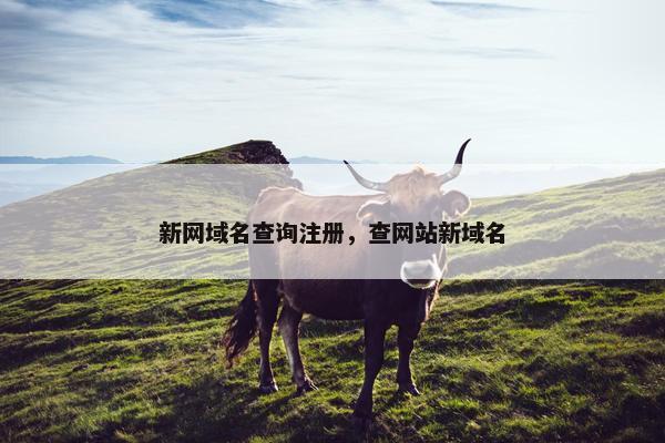 新网域名查询注册，查网站新域名
