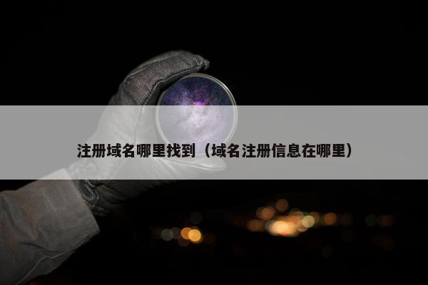 注册域名哪里找到（域名注册信息在哪里）