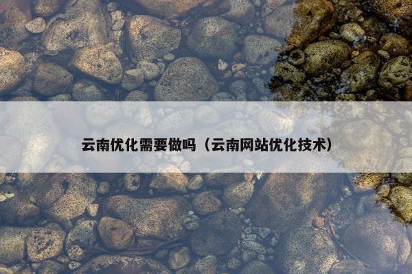 云南优化需要做吗（云南网站优化技术）