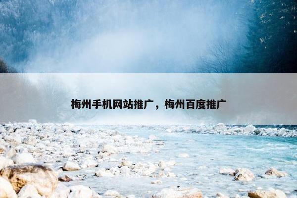 梅州手机网站推广，梅州百度推广