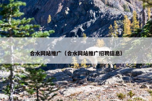 合水网站推广（合水网站推广招聘信息）