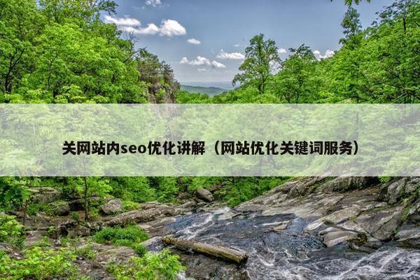 关网站内seo优化讲解（网站优化关键词服务）