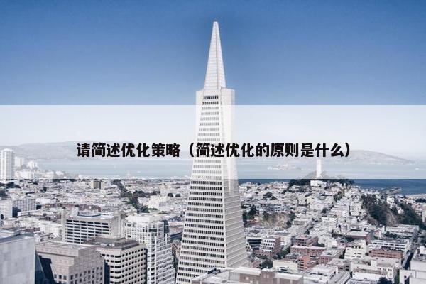 请简述优化策略（简述优化的原则是什么）
