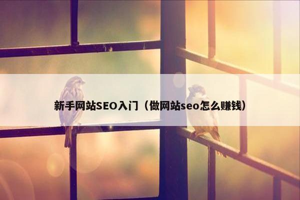 新手网站SEO入门（做网站seo怎么赚钱）