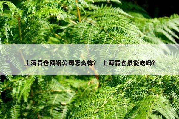 上海青仓网络公司怎么样？ 上海青仓鼠能吃吗？