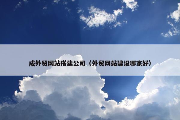 成外贸网站搭建公司（外贸网站建设哪家好）