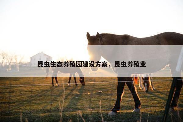 昆虫生态养殖园建设方案，昆虫养殖业