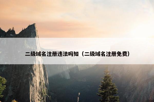 二级域名注册违法吗知（二级域名注册免费）