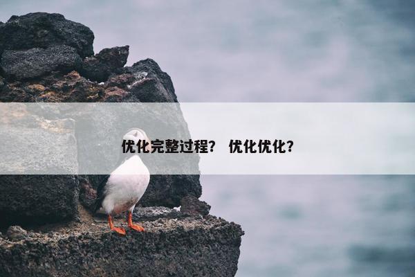 优化完整过程？ 优化优化？