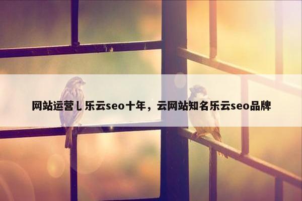 网站运营乚乐云seo十年，云网站知名乐云seo品牌
