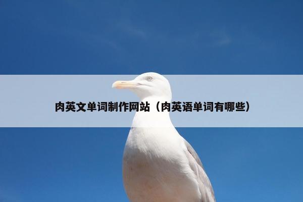 肉英文单词制作网站（肉英语单词有哪些）