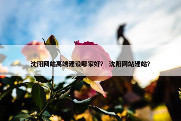 沈阳网站高端建设哪家好？ 沈阳网站建站？