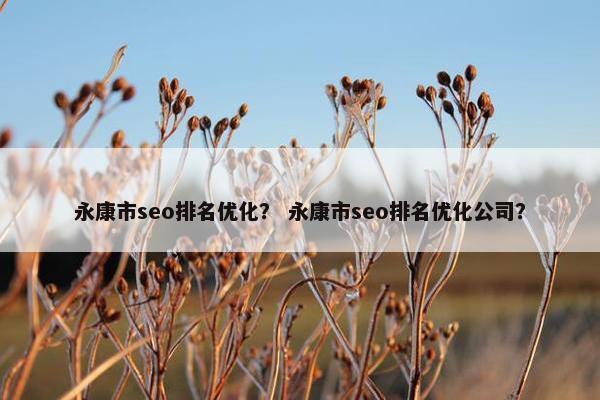 永康市seo排名优化？ 永康市seo排名优化公司？