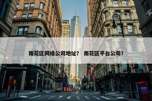 雨花区网络公司地址？ 雨花区平台公司？