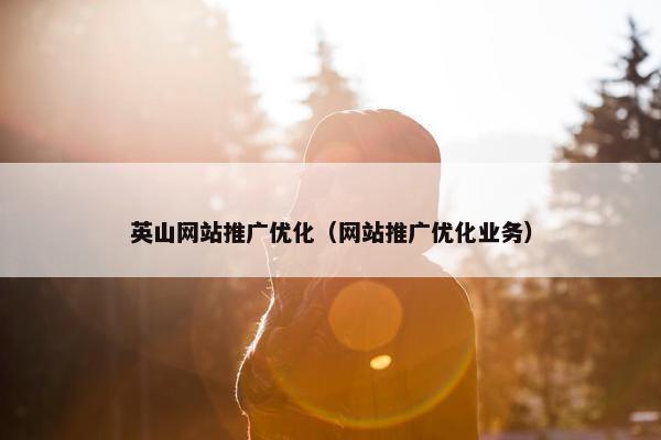 英山网站推广优化（网站推广优化业务）