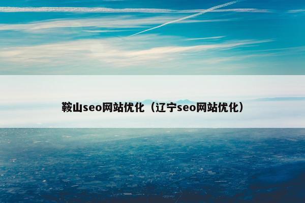 鞍山seo网站优化（辽宁seo网站优化）