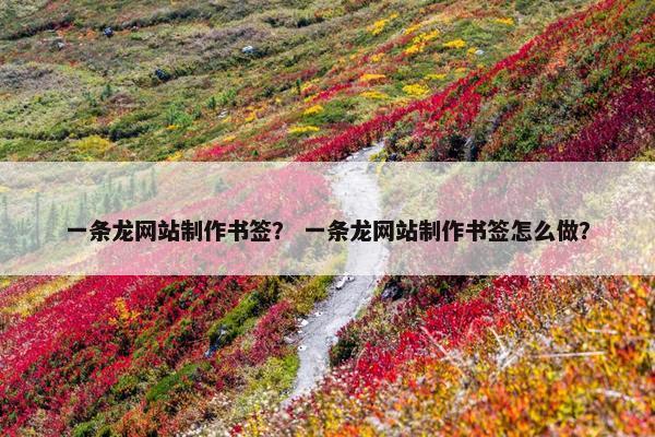一条龙网站制作书签？ 一条龙网站制作书签怎么做？