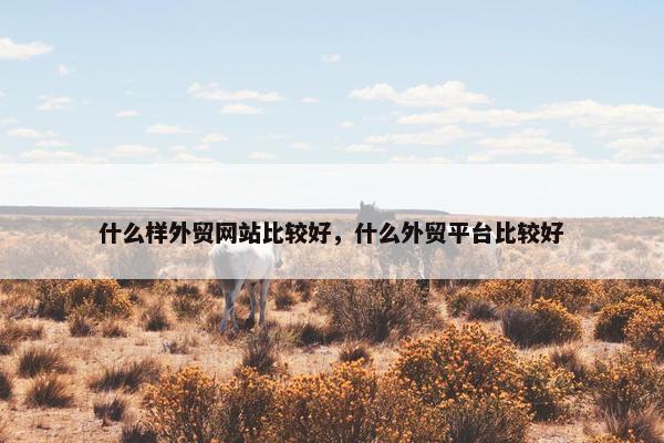 什么样外贸网站比较好，什么外贸平台比较好
