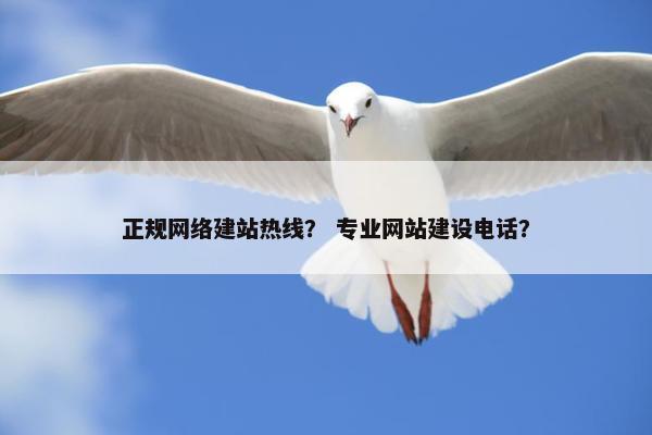 正规网络建站热线？ 专业网站建设电话？