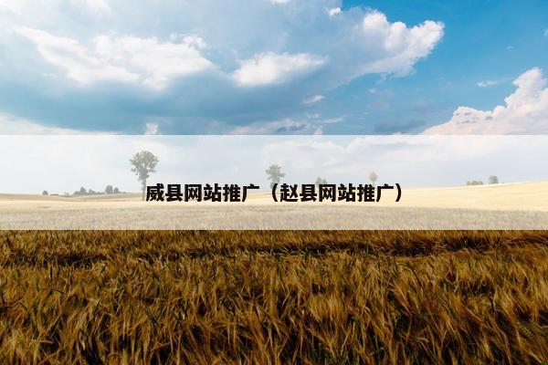 威县网站推广（赵县网站推广）