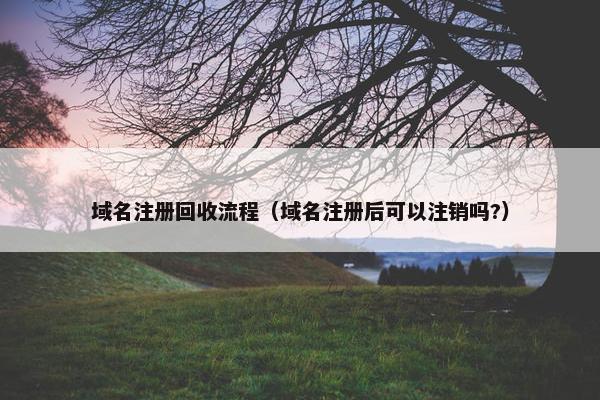 域名注册回收流程（域名注册后可以注销吗?）