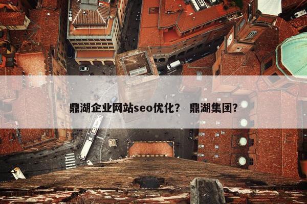 鼎湖企业网站seo优化？ 鼎湖集团？