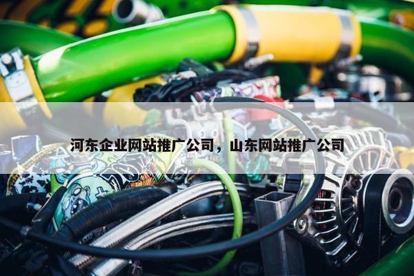 河东企业网站推广公司，山东网站推广公司