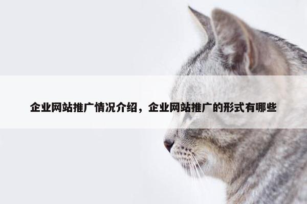 企业网站推广情况介绍，企业网站推广的形式有哪些