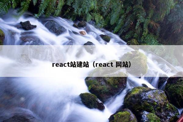 react站建站（react 网站）