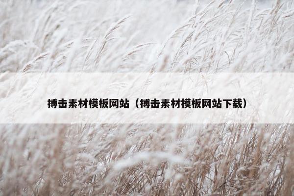 搏击素材模板网站（搏击素材模板网站下载）