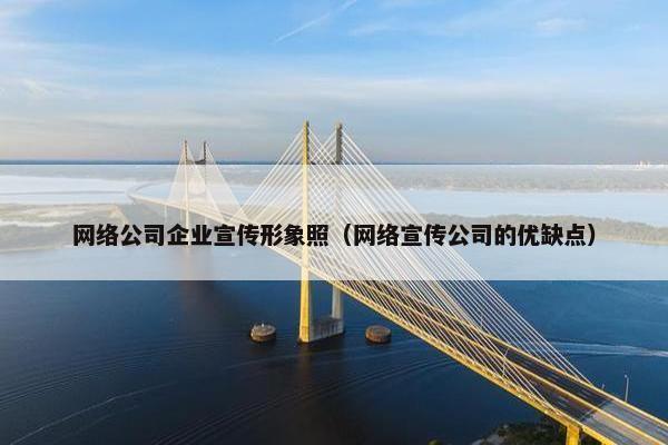 网络公司企业宣传形象照（网络宣传公司的优缺点）