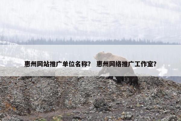 惠州网站推广单位名称？ 惠州网络推广工作室？