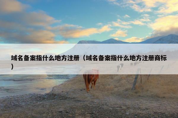 域名备案指什么地方注册（域名备案指什么地方注册商标）